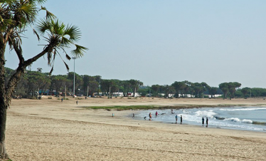 NATURE, WILDLIFE AND BEACH LOVERS